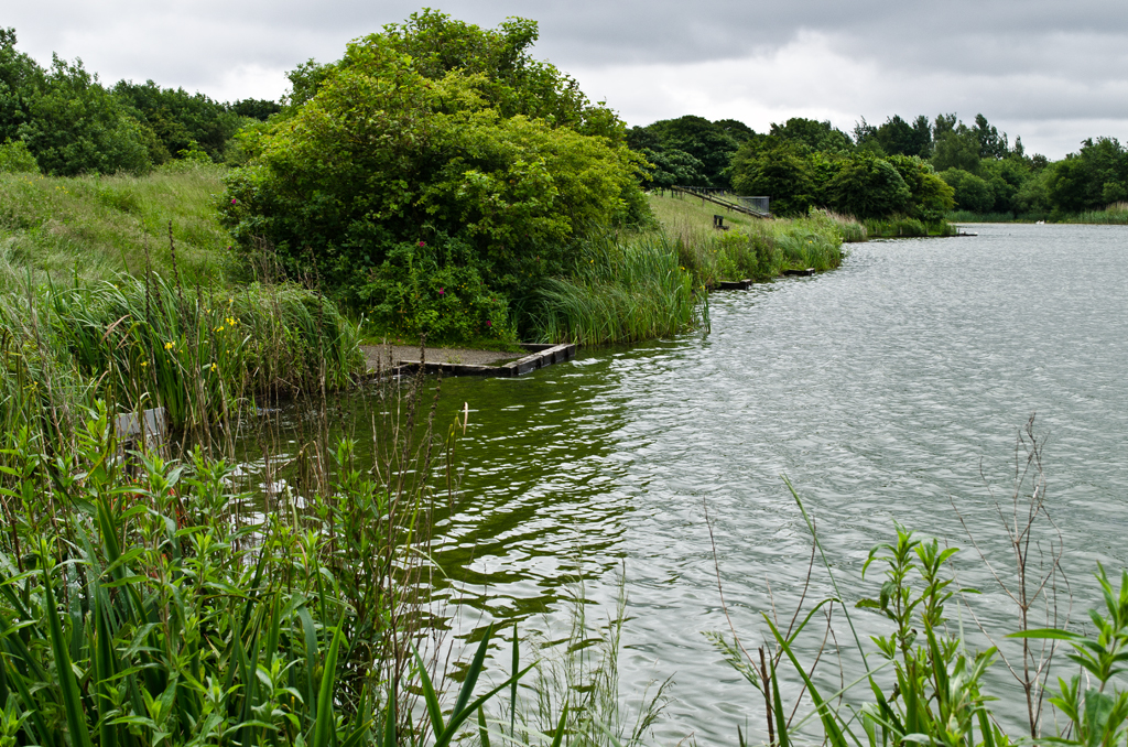 The lake at Blackleach Country Park